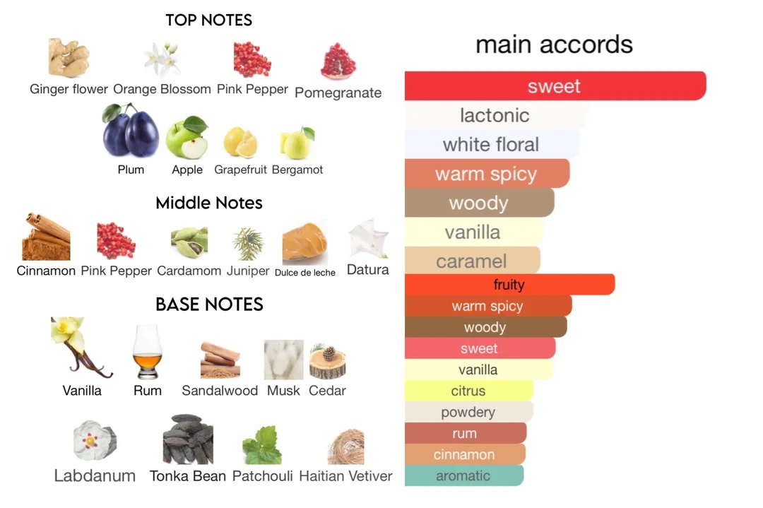 Top notes and mian accords of perfume