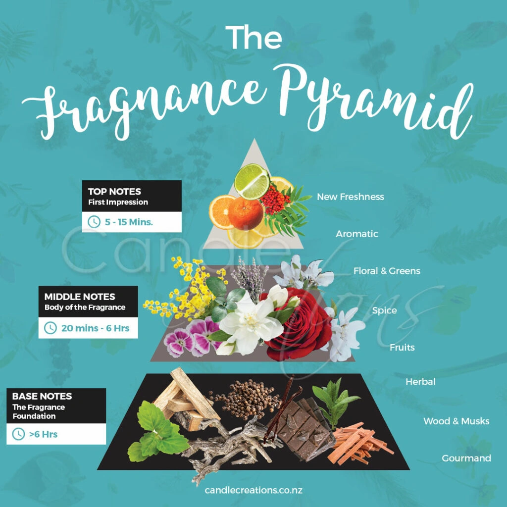 fragrance notes